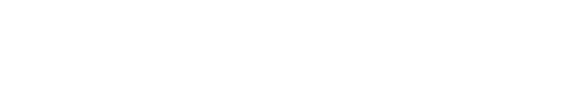 swiss made software