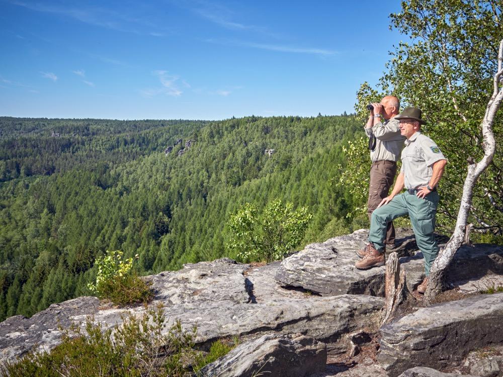 Two park rangers on a rocky cliff overlooking a lush forest under clear blue sky, one uses binoculars