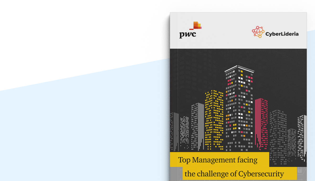 The Challenge of Cybersecurity: How the Management Needs to Act