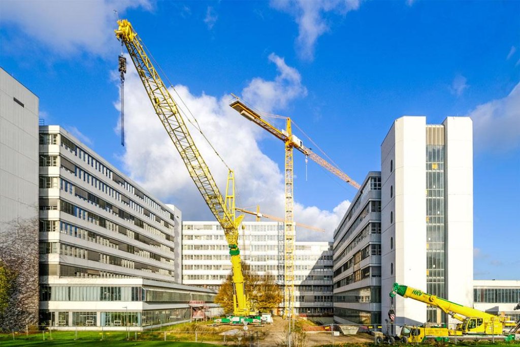 Three yellow tower cranes in front of a multi-story white office building under construction against a blue sky.
