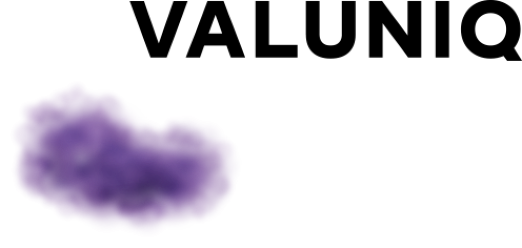 Logo Valuniq.